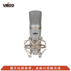 YMIOO——CS100	大合唱话筒