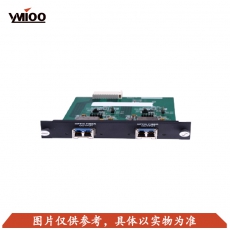 YMIOO——DSI-FIB2	2路光纤输入卡